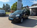 Fiat Panda 1.2 "My Panda" Klima-RD/CD/Blue&Me-elek... - Fiat Gebrauchtwagen in Kiel