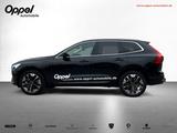 Volvo XC 60 T8 AWD Ultra Bright Ed. Plug-In AHK SHD - Volvo: X60