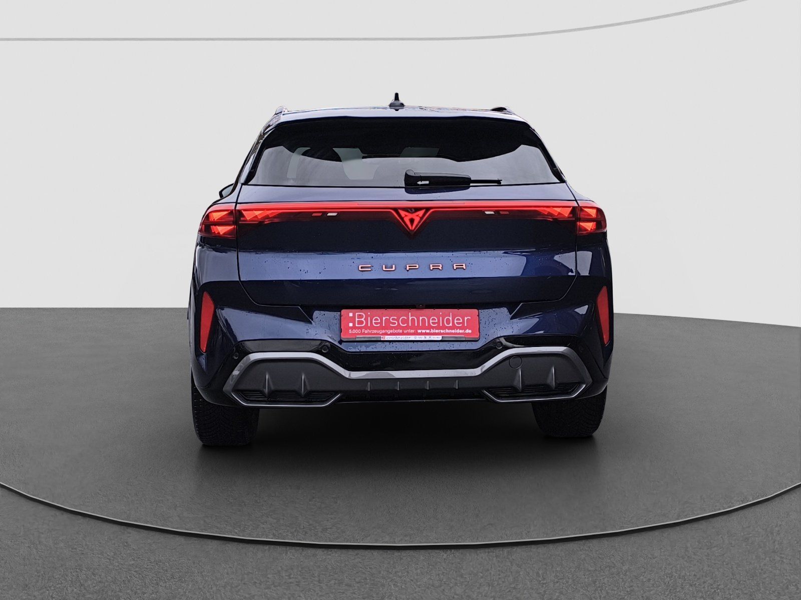 Cupra Terramar - Bild 8