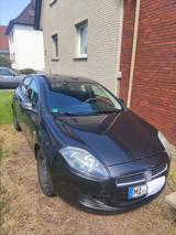 Fiat Bravo 1.4 16V Easy Easy - Fiat Bravo von privat