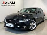 Jaguar XE R-Sport AWD Lane LED Navi RFK SHZ ViCo - Jaguar XE Gebrauchtwagen
