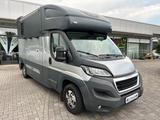 Peugeot Boxer MSG Pferdetransporter 3,5t Stablehopper - Peugeot Koffer