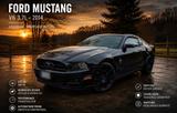 Ford Mustang V6, BJ 2014 - Ford Mustang mit Benzin-Antrieb: Limousine