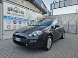Fiat Punto 1.2 8V 5 porte Lounge - GPL - gebrauchte Fiat Punto aus dem Jahr 2015