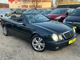 Mercedes-Benz CLK 230 K ELEGANCE Final edition*1A TOP !!! - Mercedes-Benz CLK 230: Cabrio