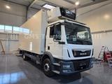 MAN TGM 15.290 / 6,2m / Frigo COOL / WENIG KM - MAN 15 tgm