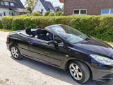 Peugeot 307 CC Filou 110 Filou - Peugeot 307 aus 2006: Cabrio