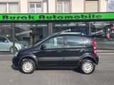 Fiat Panda 1.2 8V Climbing  4X4 **KLIMA**1-HAND** - Fiat Panda: 4.4