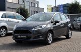 Ford Fiesta Celebration/SHZ/PDC/Klima/Beheizb.Frontsc - Ford Fiesta: Fr