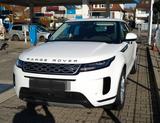 Land Rover Range Rover Evoque P300e Bronze Collection A... - Land Rover Range Rover Evoque Plug-in Hybrid (PHEV) Gebrauchtwagen