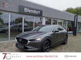 Mazda CX-30 Homura 122 Automatik Kamera|LED|Login|AHK - Mazda: Login