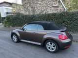 Volkswagen NewBeetle  Cabrio - Volkswagen Beetle in Köln