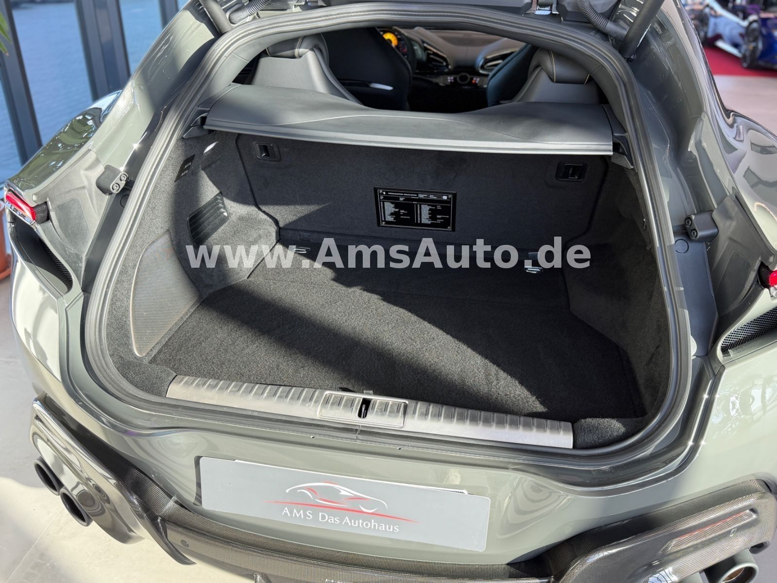 Purosangue Full Carbon Pano Massage