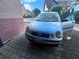 Volkswagen Polo 9n 8-Fach bereift! - Volkswagen Polo aus 2003: 9n