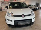 Fiat Panda**PDC** - Fiat Panda: Kombi
