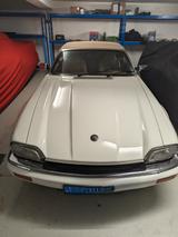 Jaguar XJS - weiße Jaguar XJS