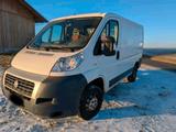 Fiat Transporter Bus Fiat Ducato - Fiat: Transporter