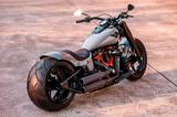 Harley-Davidson FLFBS Fat Boy 114 -Rick´s 300er Heckumbau!!! - HARLEY-DAVIDSON 300