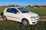Fiat Punto 1.2  - Fiat Punto Gebrauchtwagen in München