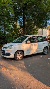 Fiat Panda 1.2 8V Easy - Fiat Panda EASY mit Benzin-Antrieb