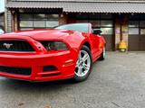 Ford V6 3,7"CABRIO"LEDER"PREMIUM"XENON"GARANTIE - Ford Mustang: 3.3