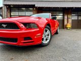 Ford V6 3,7"CABRIO"LEDER"PREMIUM"XENON"GARANTIE - Ford Mustang: Cabrio