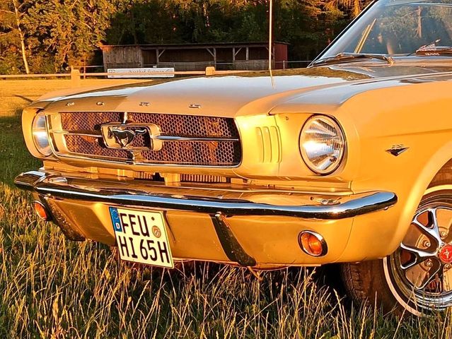 Ford Mustang Cabrio 1965 rostfrei 8 Zylinder