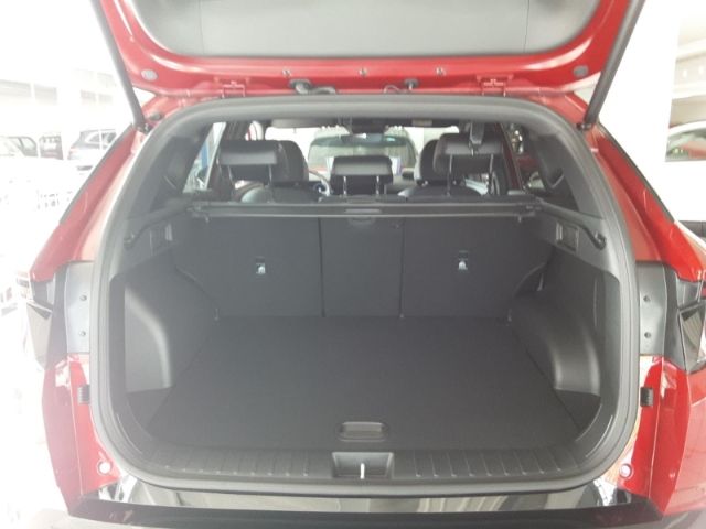 Fahrzeugabbildung Hyundai Tucson N Line X 4WD+Assistenz-Paket+Dachlackieru