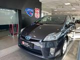Toyota Prius Life - graue Toyota Prius