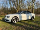 Audi Cabriolet A5 Sportline