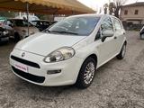 Fiat Punto 1.2 8V 5 porte Lounge OK NEOPATENTATI - Fiat Punto: Lounge