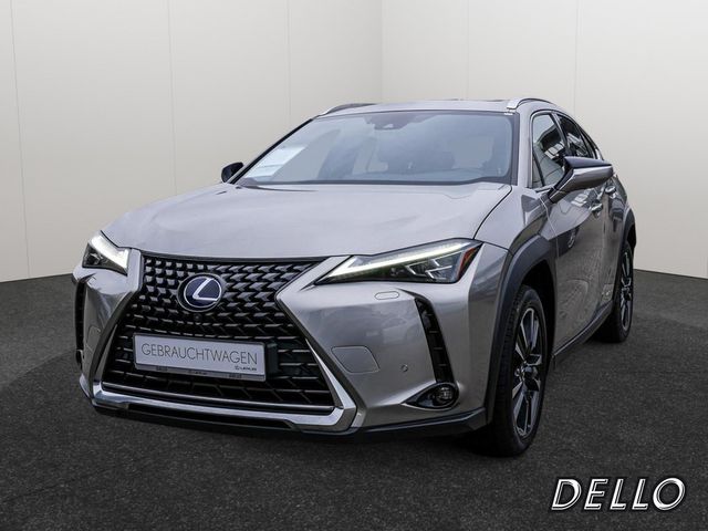 Lexus UX 250h Luxury HUD HGSD 360-GRAD-KAMERA AHK