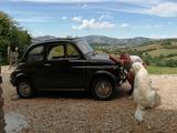 Fiat 500 8-Bulloni - Seltenheit -  - Fiat aus 1965