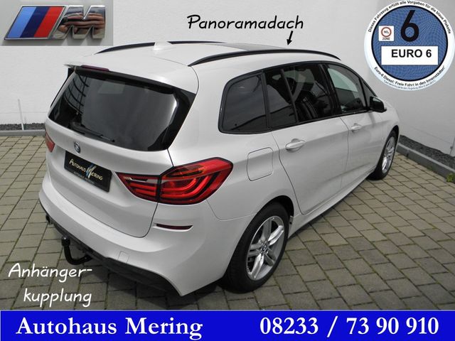 BMW 218iA MAero+Sportp  Reling Panorama AHK