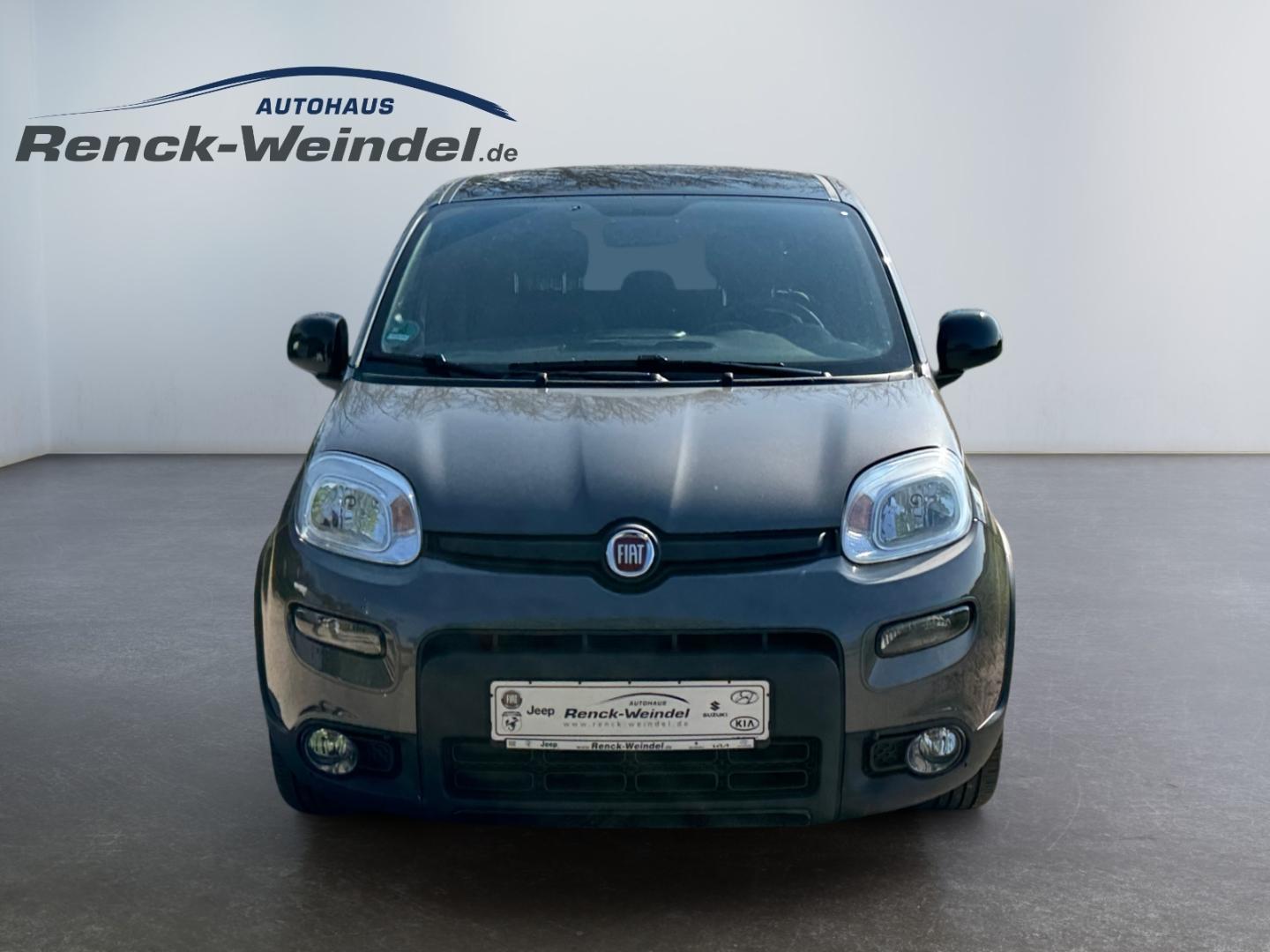 Fiat Panda Sport 1,0 GSE Klima Sportpaket DAB PDC Ber