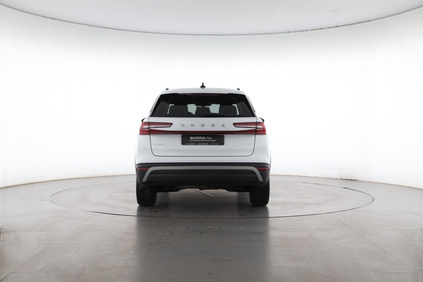 Skoda KODIAQ 2.0 TDI DSG 4x4 Selection | PANO | AHK |