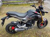 Honda MSX125 - Offers