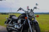 Honda Shadow VT750 RC50 Bj 2014 ABS Chopper/Cruiser - HONDA SHADOW 50