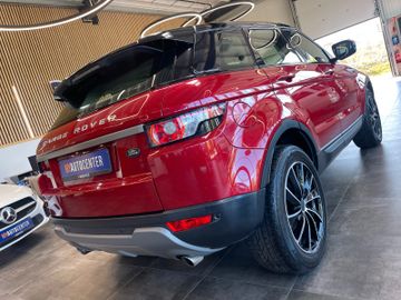 Land Rover Range Rover Evoque Pure *TEMPOMAT*SZ.HZ.*ALLRAD*