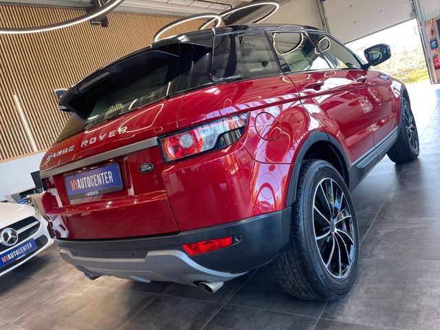 Land Rover Range Rover Evoque Pure *TEMPOMAT*SZ.HZ.*ALLRAD*