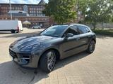Porsche Macan GTS / Pano / Chronologisch/ Standhzg. - Porsche Macan in Hannover