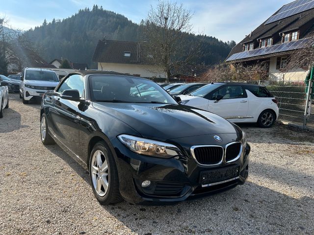 BMW 218 I Cabrio,Navi,PDC,SHZ,Alu,Bluet.