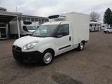 Fiat Doblo 1.3*Carrier-Kühlkoffer* - Fiat Kühlkastenwagen Dob