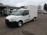 Fiat Doblo 1.3*Carrier-Kühlkoffer* - Angebote entsprechen deinen Suchkriterien
