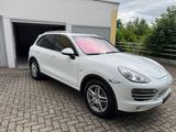 Porsche Cayenne Diesel Platinum Edition - Porsche Cayenne in Ludwigshafen