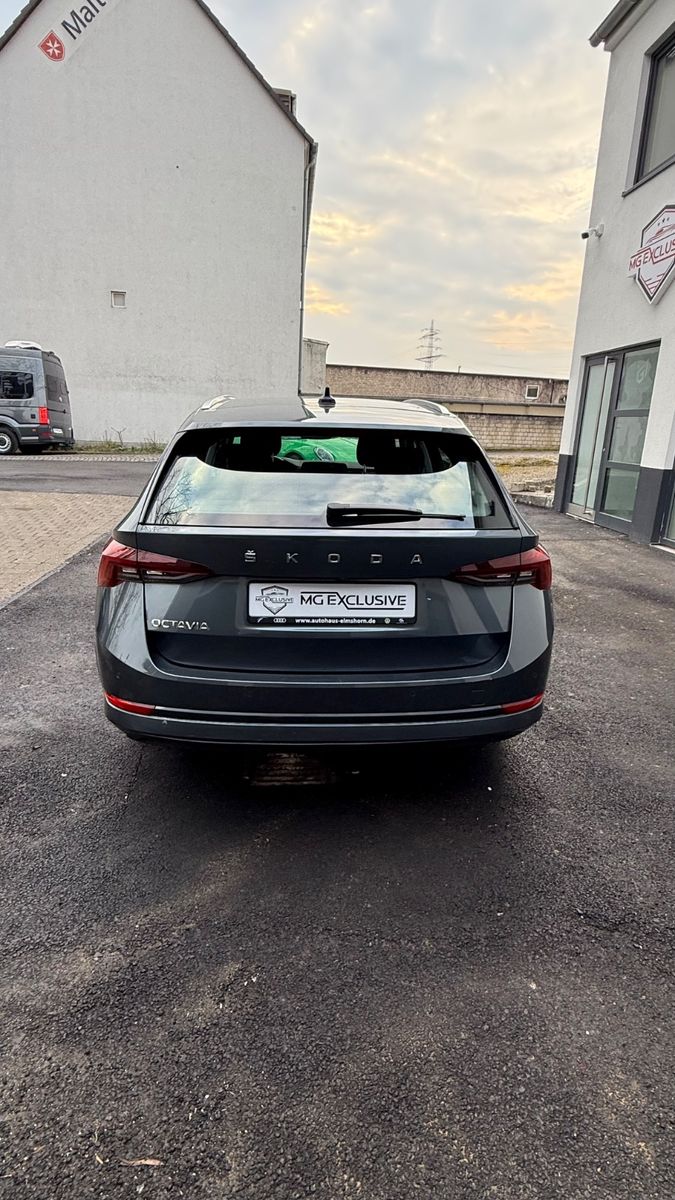 Fahrzeugabbildung SKODA Octavia Combi First Edition