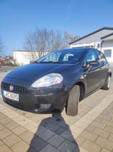 Fiat Punto 1.2 8V POP POP - Fiat Punto Gebrauchtwagen in Halle