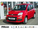 Fiat Pandina ICON Hybrid 1.0 GSE TEMPOMAT PDC LANE 5- - rote Fiat New Panda