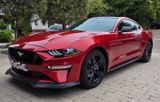 Ford Mustang Ecoboost Premium und Black Accent Paket - Ford Mustang aus 2022