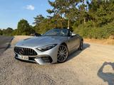 Mercedes-Benz SL 43 AMG V8-Styling | HUD | 360° | 